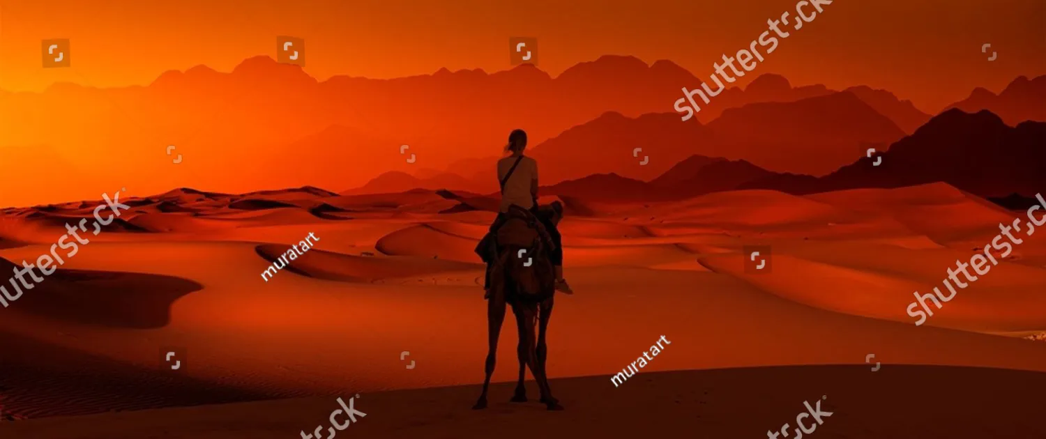 stock-photo-a-woman-riding-a-camel-across-the-thin-sand-dunes-of-the-in-western-sahara-desert-at-sunset-2556142963