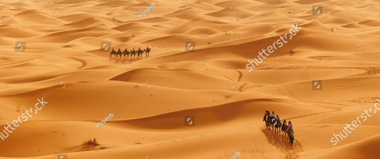 stock-photo-tourists-are-seen-riding-camels-across-sand-dunes-in-to-the-erg-chebbi-dune-sea-located-in-morocco-2647734685